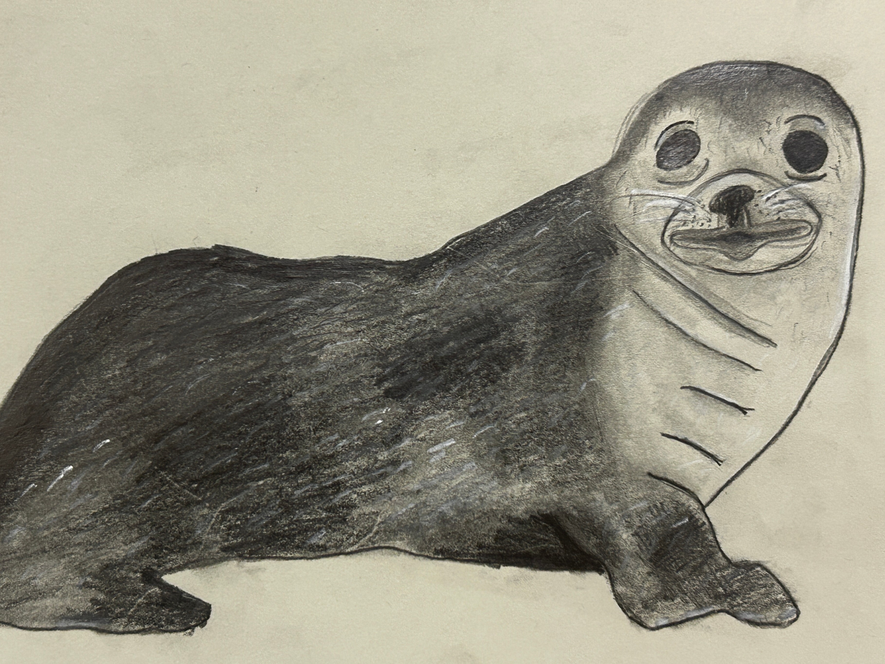 seal
